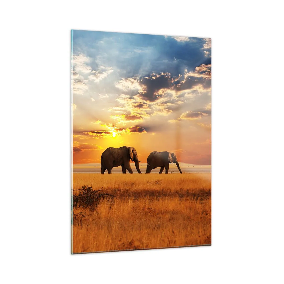 Obraz na szkle - Słonie na afrykańskiej sawannie o zachodzie słońca - 50x70cm - Rodzinna przechadzka - Nowoczesna dekoracja ścienna do salonu, kuchni i sypialni ARTTOR
