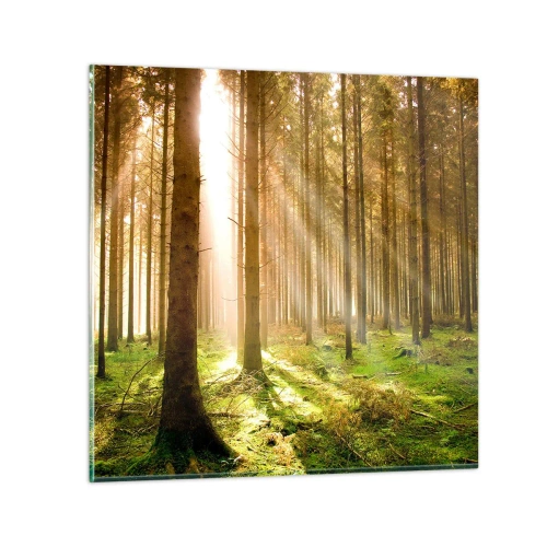 Obraz na szkle - Zaraz pojawią się elfy - 60x60 cm