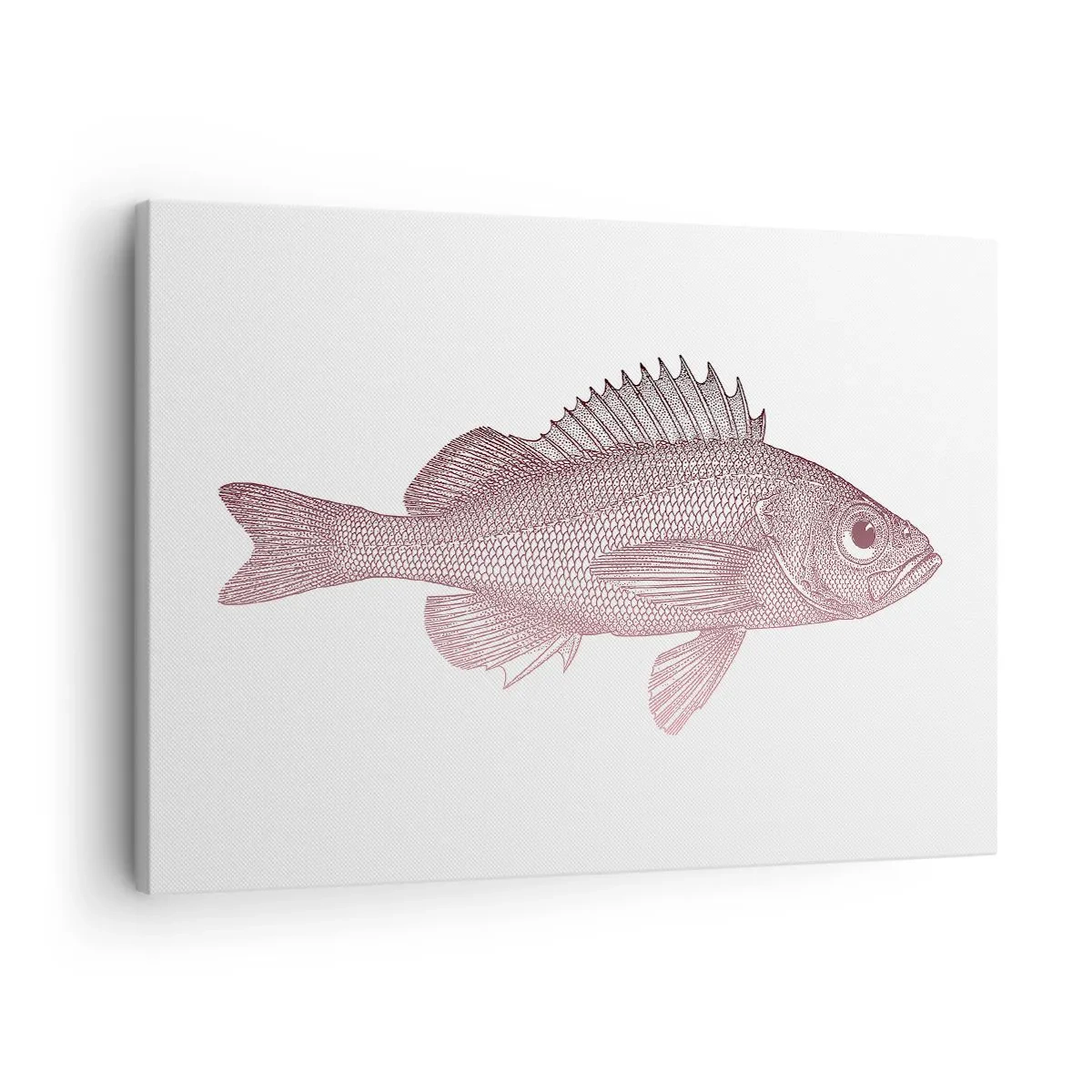 Obraz na płótnie - Szczegółowa ilustracja ryby na białym tle - 70x50cm - Ryba wielkooka - Nowoczesna dekoracja ścienna do salonu i sypialni ARTTOR