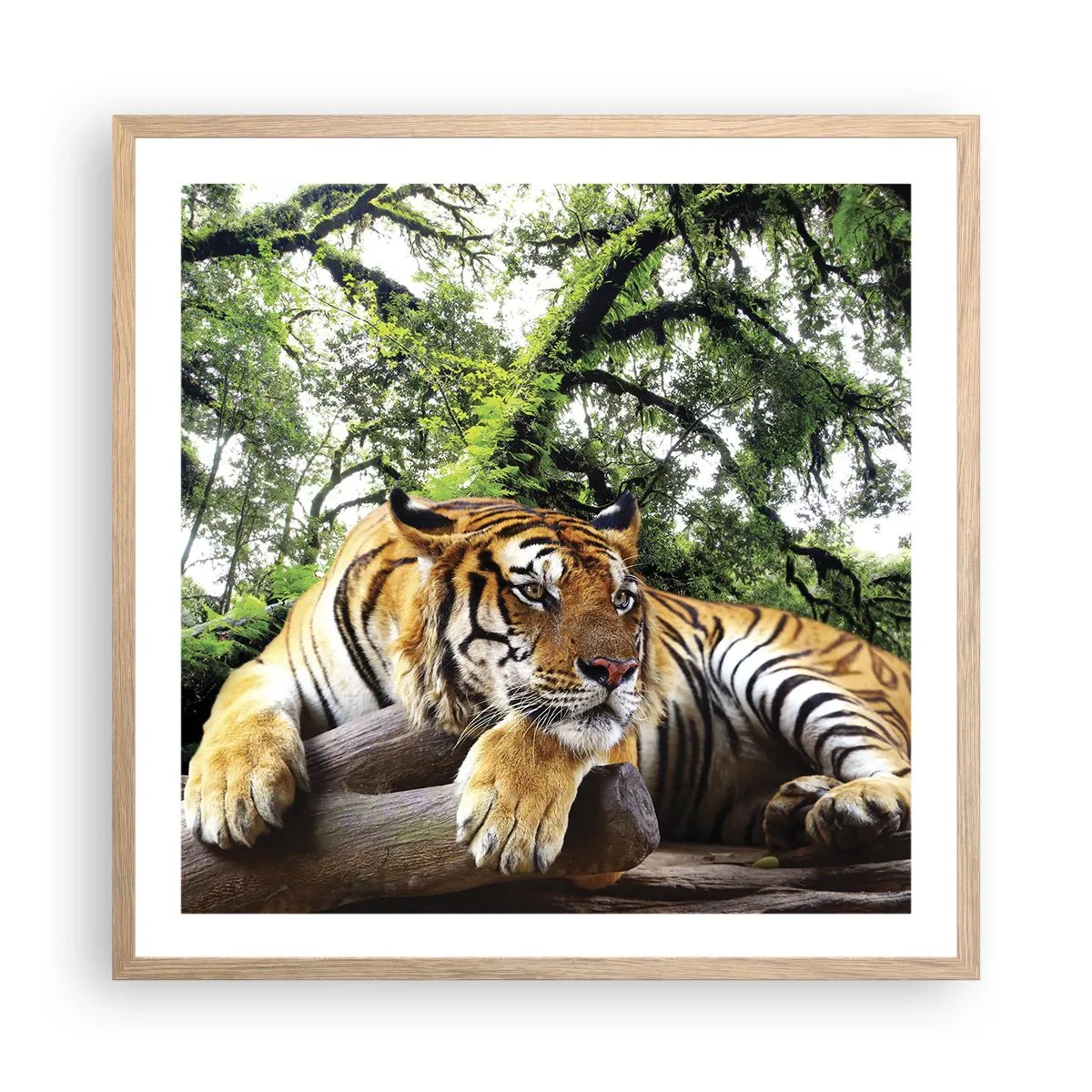 Plakat w ramie jasny dąb - Z wyrazami szacunku - 60x60 cm