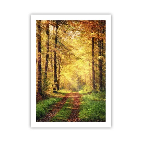 Plakat - Leśna ścieżka w świetle złotego jesiennego słońca - 50x70cm - Leśno-złota cisza - Nowoczesna dekoracja ścienna do salonu, kuchni i sypialni ARTTOR