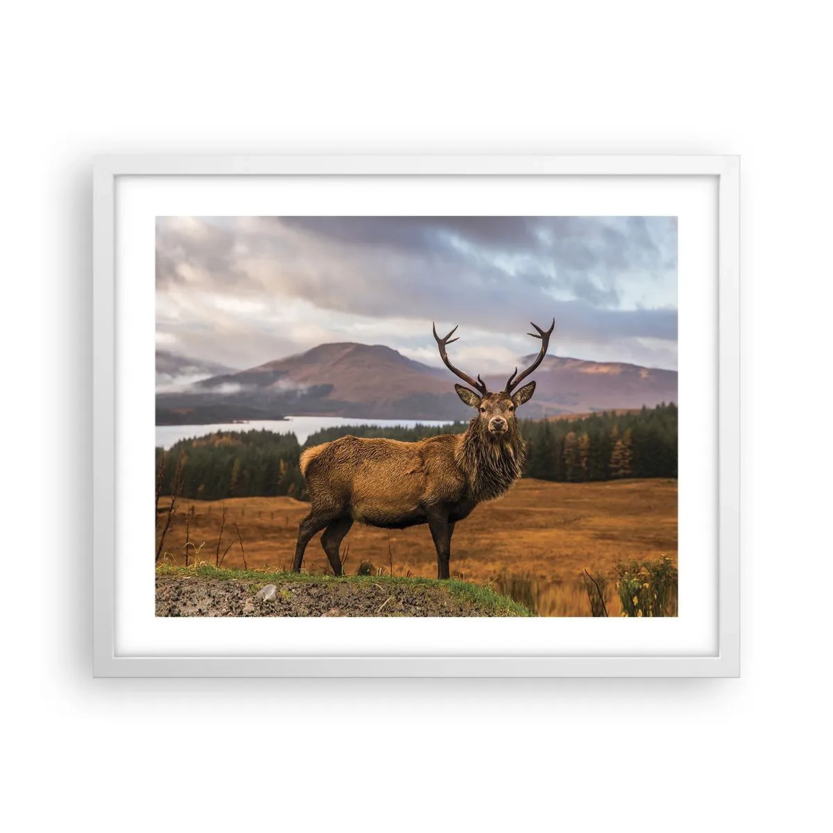 Plakat w białej ramie - Majestat natury - 50x40 cm