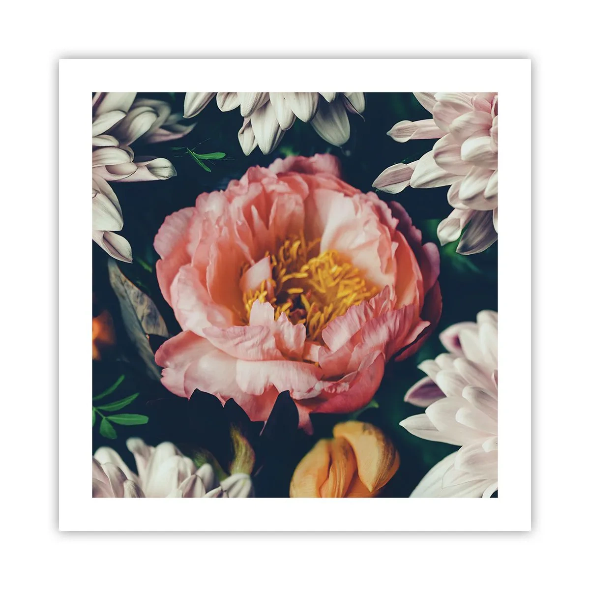 Plakat - Z barokowym przepychem - 50x50 cm