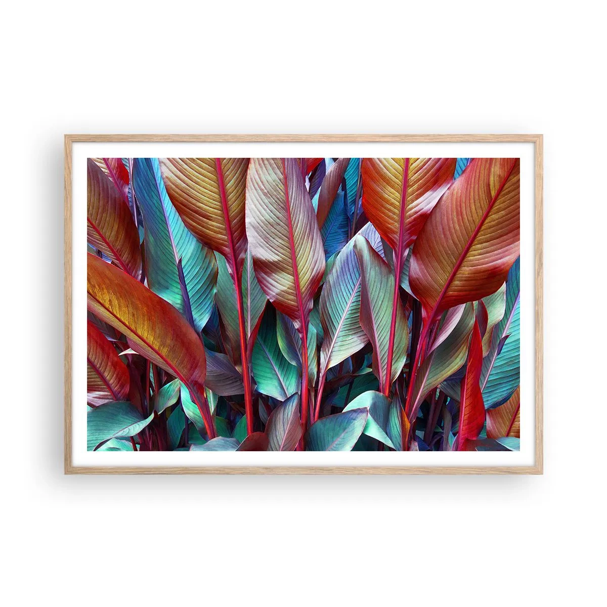 Plakat w ramie jasny dąb - Kolorowy gąszcz - 100x70 cm