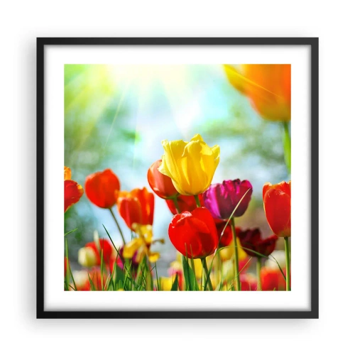 Plakat w czarnej ramie - Wszystkie barwy słońca - 50x50 cm