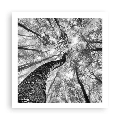 Plakat - Wyścig do światła - 60x60 cm