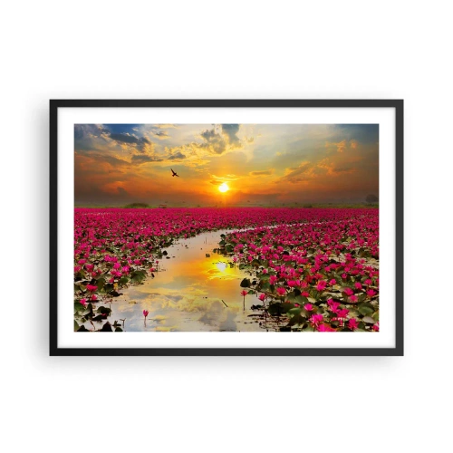 Plakat w czarnej ramie - Pole różowych lilii wodnych o zachodzie słońca - 70x50cm - Tajemne życie jeziora - Nowoczesna dekoracja ścienna do salonu i sypialni ARTTOR