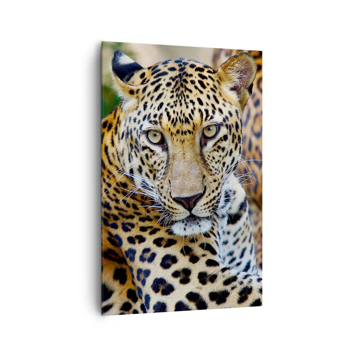 Obraz na płótnie - Jaguar odpoczywający w naturalnym otoczeniu z zielonym tłem. - 80x120cm - Dziki i spokojny - Nowoczesna dekoracja ścienna do salonu i sypialni ARTTOR