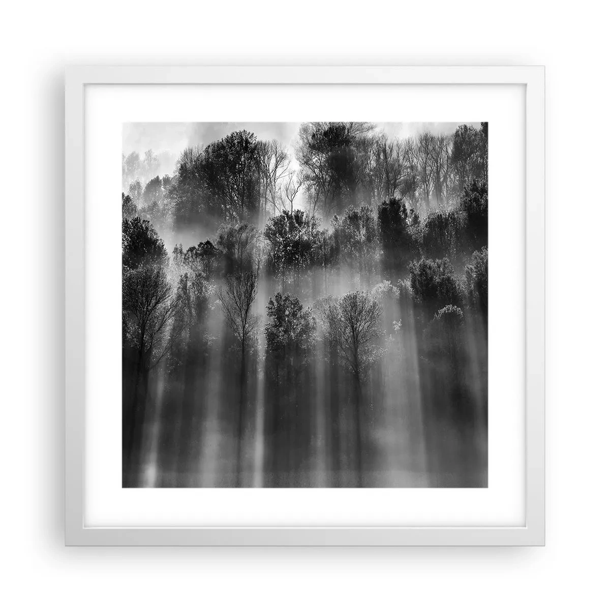 Plakat w białej ramie - W strumieniach światła - 40x40 cm