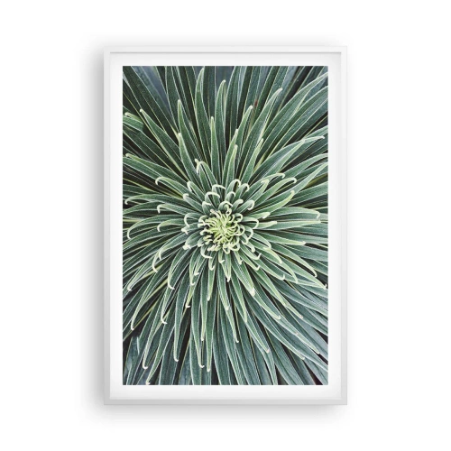 Plakat w białej ramie - Narodziny gwiazdy - 61x91 cm