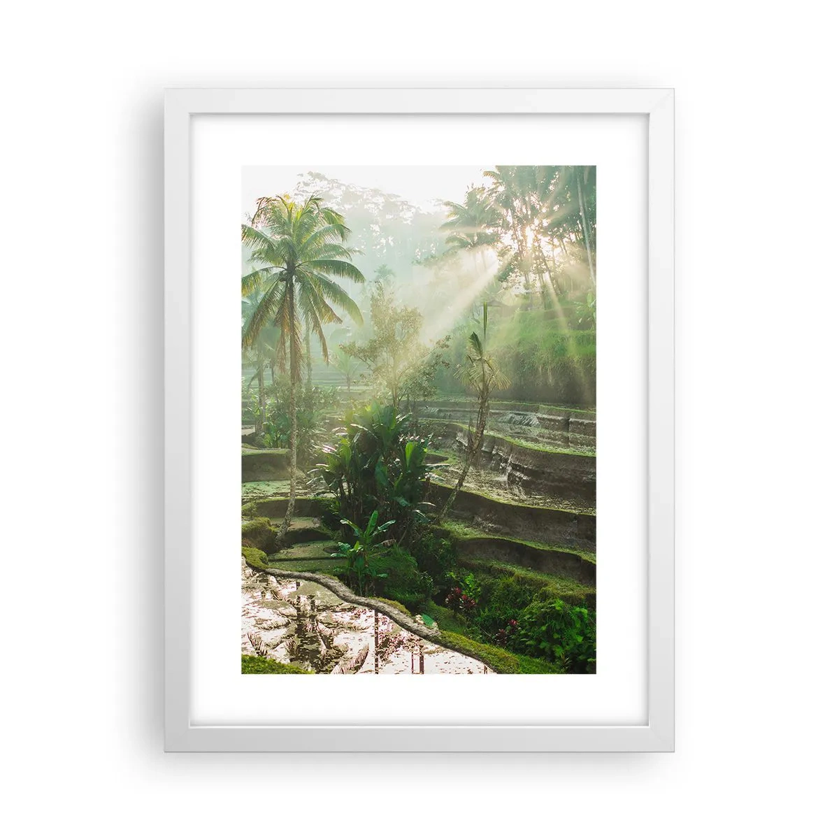 Plakat w białej ramie - Dorastać w słońcu - 30x40 cm