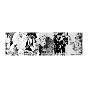 Fototapeta Próbka Premium Sand - Jesień w negatywie - Abstrakcja, Kwiaty, Grafika - 100x30 cm