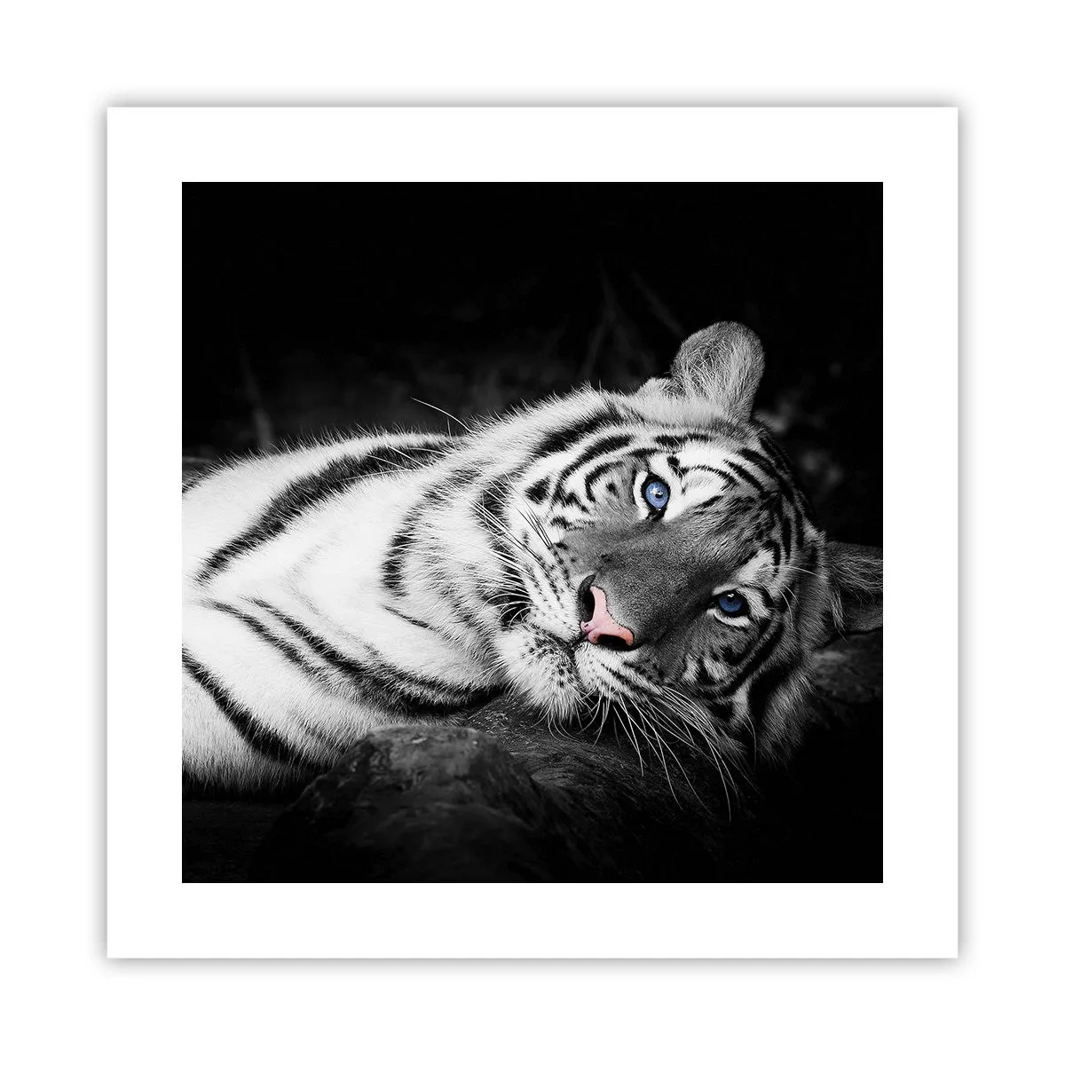 Plakat - Dzikość i spokój - 40x40 cm