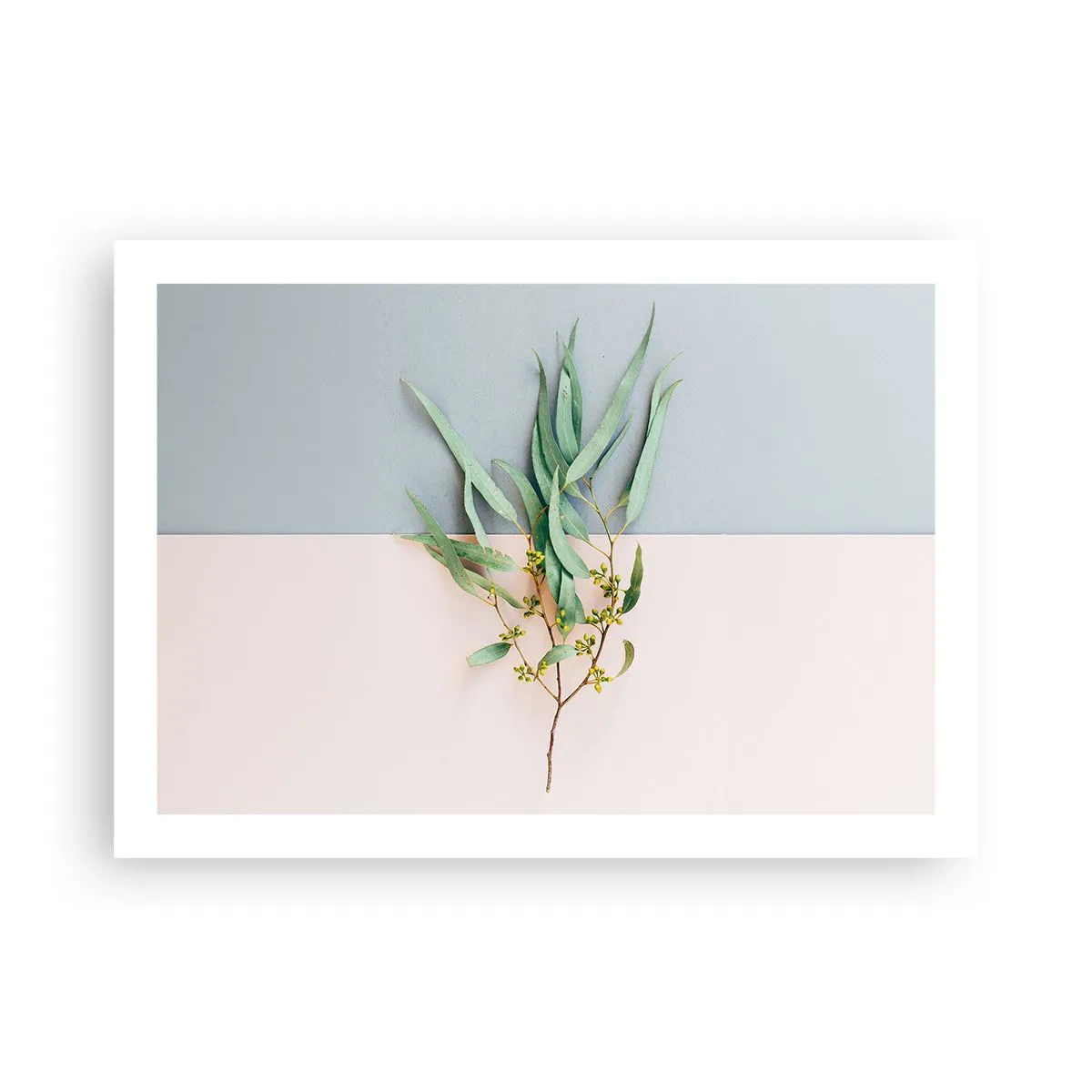 Plakat - Pastelowa subtelność - 70x50 cm