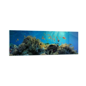 Obraz na szkle - Rafa koralowa z rybami w promieniach słońca pod wodą - 160x50cm - Podwodne skarby - Nowoczesna dekoracja ścienna do salonu i sypialni ARTTOR