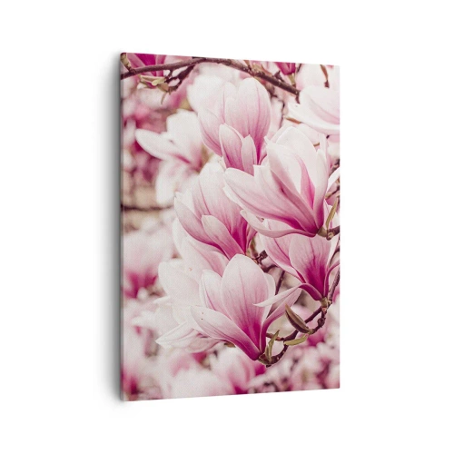Obraz na płótnie - Zbliżenie na kwitnące różowe magnolie na tle rozmytej natury - 50x70cm - Wiosna jest różowa - Nowoczesna dekoracja ścienna do salonu, kuchni i sypialni ARTTOR