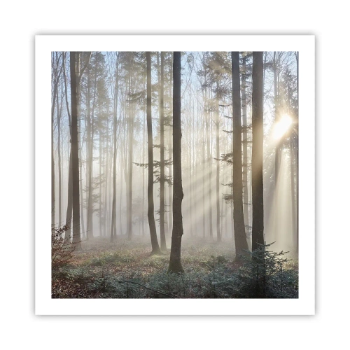 Plakat - Mgła też się zbudziła - 60x60 cm