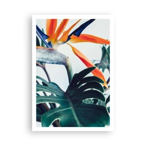 Plakat - Ptakokrzak - 70x100 cm