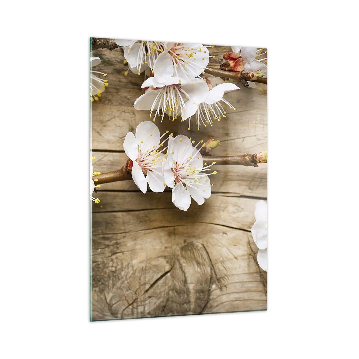 Obraz na szkle - Gałązki kwitnącej wiśni na drewnianym tle - 50x70cm - I stała się wiosna - Nowoczesna dekoracja ścienna do salonu, kuchni i sypialni ARTTOR