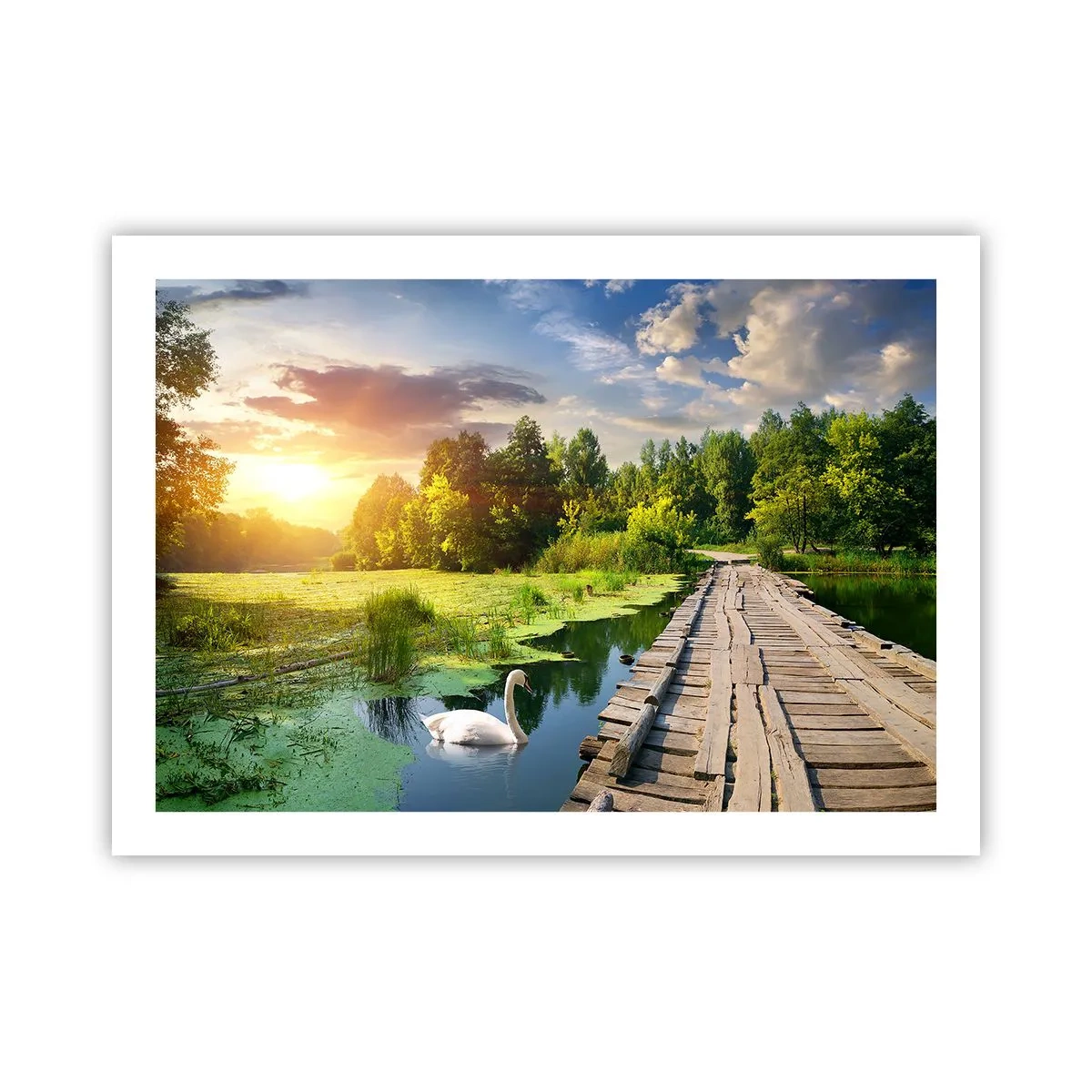 Plakat - Lato, lato wszędzie - 70x50 cm