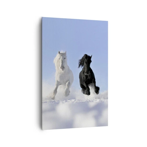 Obraz na płótnie - Biały i czarny koń galopujące po śniegu - 80x120cm - Czarno-biały galop - Nowoczesna dekoracja ścienna do salonu i sypialni ARTTOR