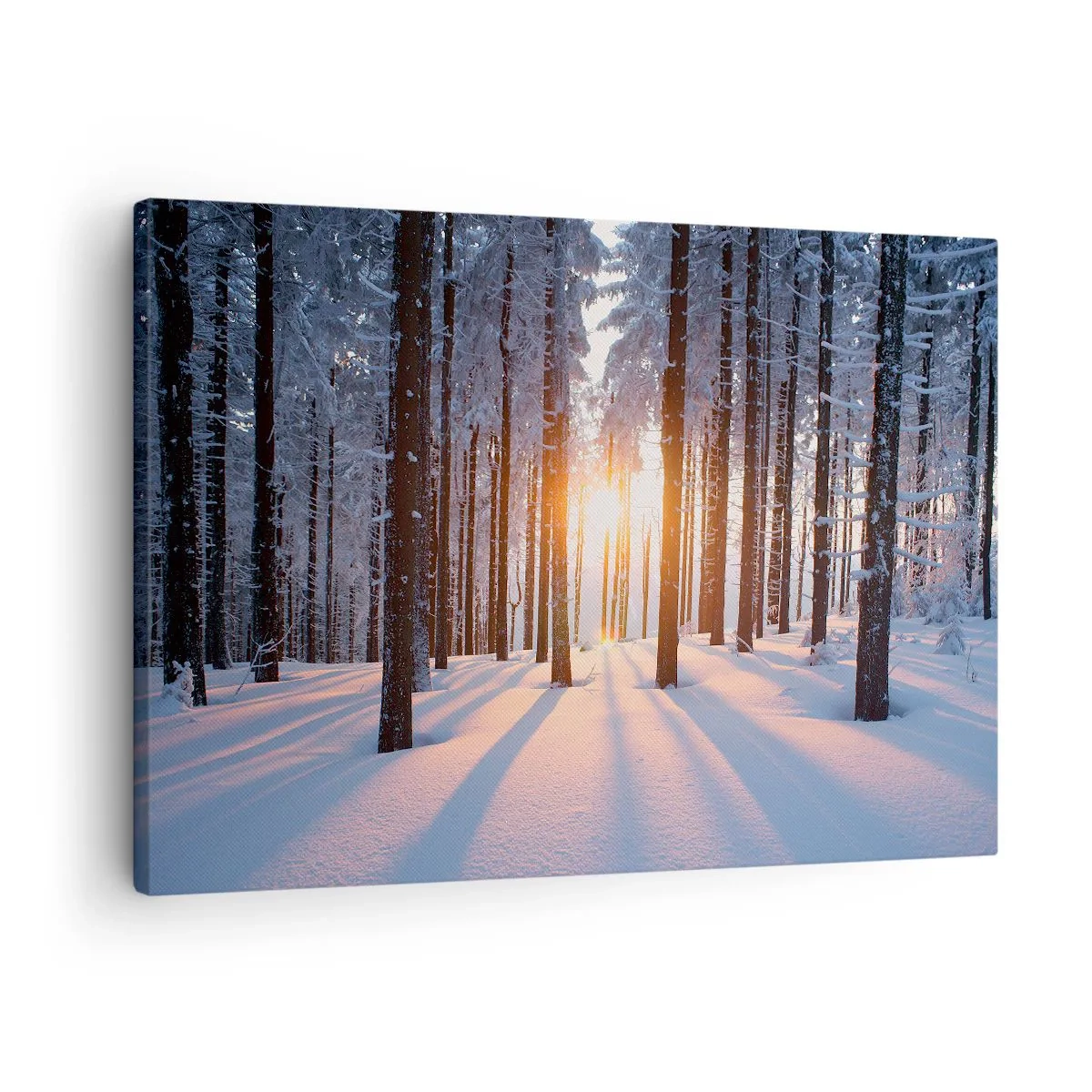 Obraz na płótnie - Zimowy las oświetlony promieniami słońca - 70x50cm - Wyraźnie czarno na białym - Nowoczesna dekoracja ścienna do salonu i sypialni ARTTOR