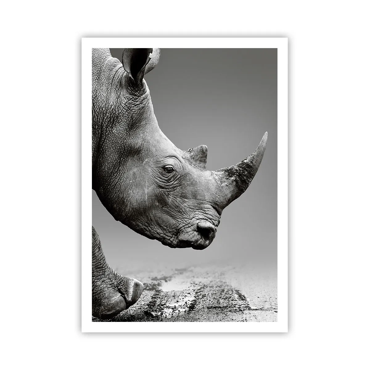 Plakat - Niepowstrzymana siła - 70x100 cm