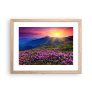 Plakat w ramie jasny dąb - … A dokoła pachnie kosodrzewina i wonieją zioła - 40x30 cm