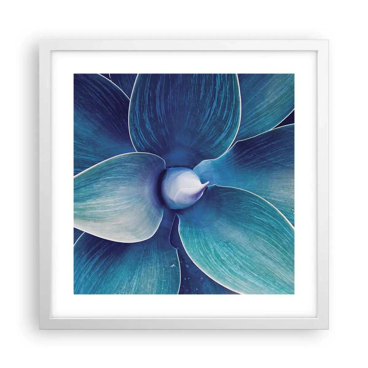 Plakat w białej ramie - Zbłękitniały od nieba - 40x40 cm