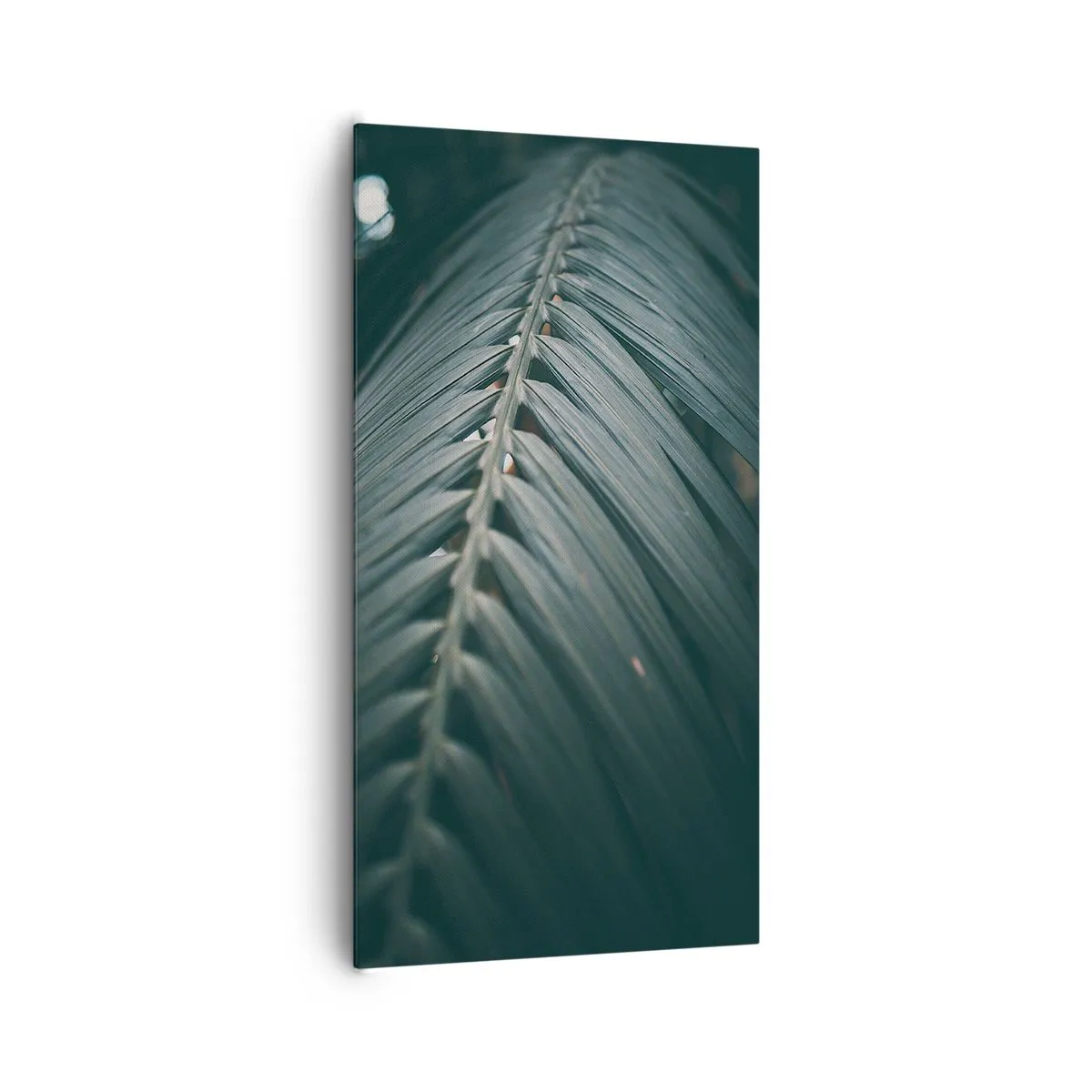 Obraz na płótnie - Precyzja natury - 65x120 cm