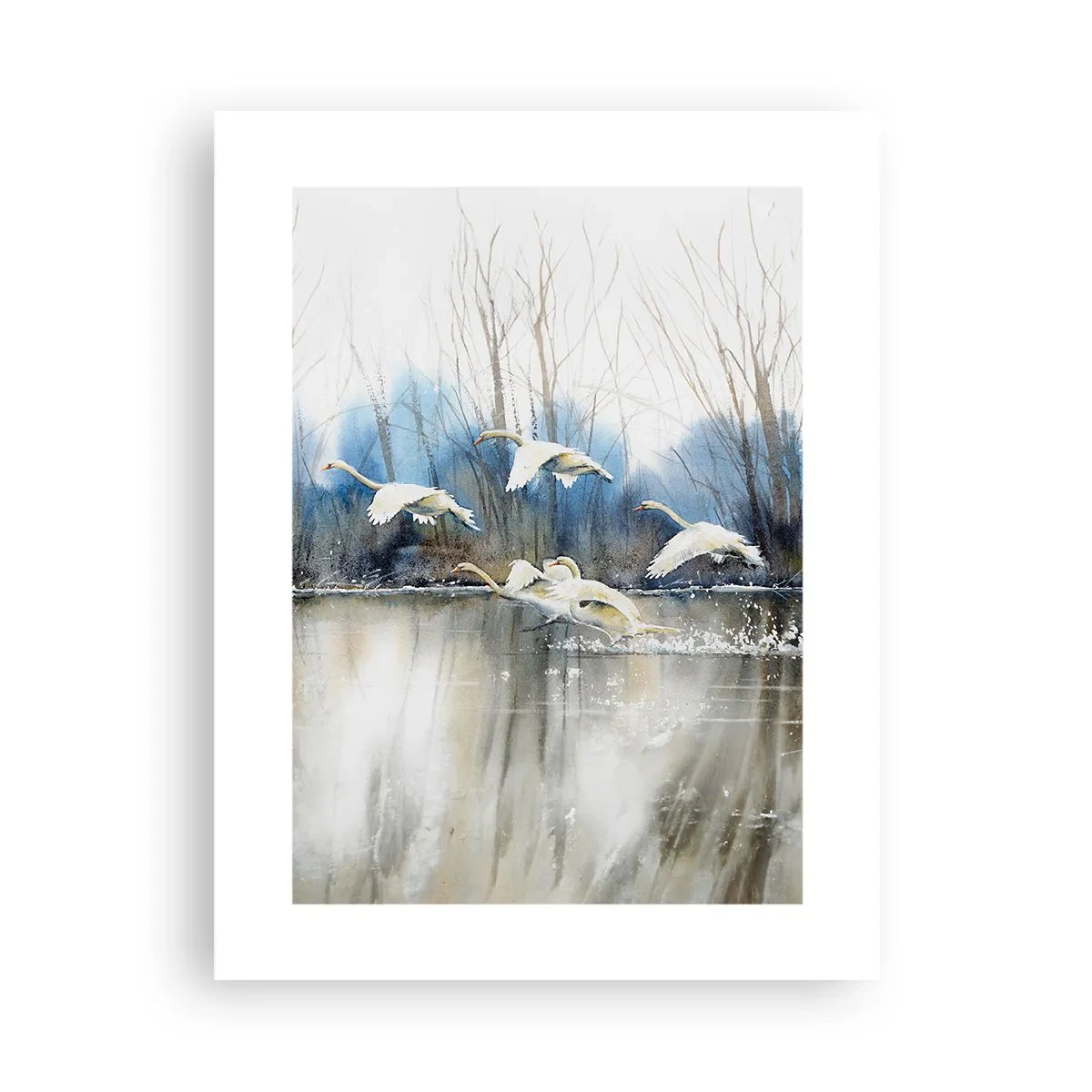 Plakat - Jak w baśni o dzikich łabędziach - 30x40 cm