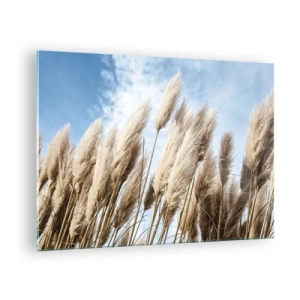 Obraz na szkle - Dekoracyjne trawy pampasowe na tle błękitnego nieba - 70x50cm - Słoneczna i wietrzna pieszczota - Nowoczesna dekoracja ścienna do salonu i sypialni ARTTOR