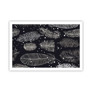 Plakat - Pierzasta koronka - 91x61 cm