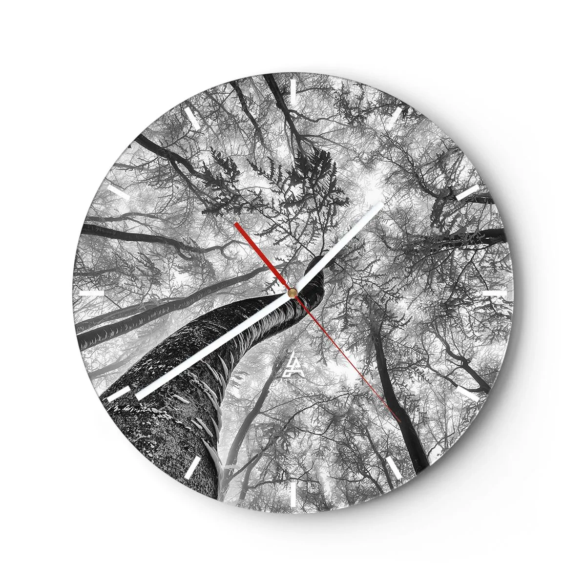 Zegar ścienny - Czarno-biały widok koron drzew z perspektywy do góry - 30x30cm - Wyścig do światła - Nowoczesna dekoracja ścienna do salonu, kuchni i sypialni ARTTOR