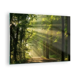 Obraz na szkle - Leśna ścieżka oświetlona promieniami słońca - 70x50cm - Leśna chwila - Nowoczesna dekoracja ścienna do salonu i sypialni ARTTOR