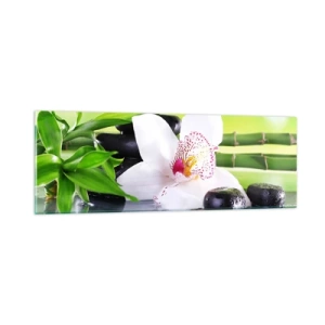 Obraz na szkle - Chłodna świeżość - 90x30 cm