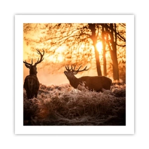 Plakat - Marzenie myśliwego - 50x50 cm