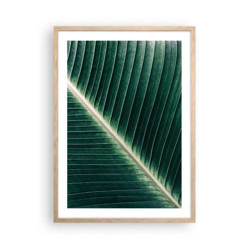 Plakat w ramie jasny dąb - Rytm natury - 50x70 cm