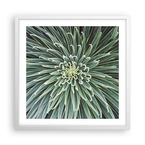 Plakat w białej ramie - Narodziny gwiazdy - 50x50 cm