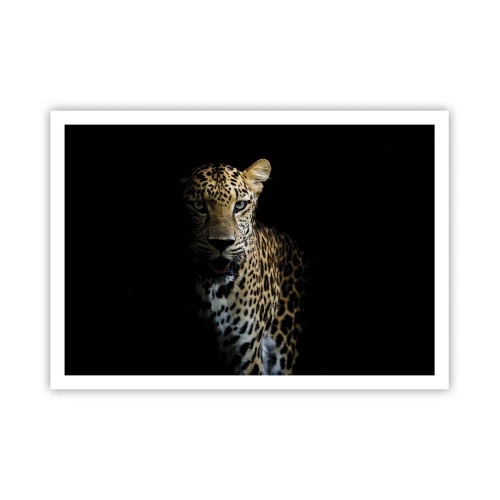 Plakat - Leopard na ciemnym tle z intensywnym spojrzeniem - 100x70cm - Mroczne piękno - Nowoczesna dekoracja ścienna do salonu i sypialni ARTTOR