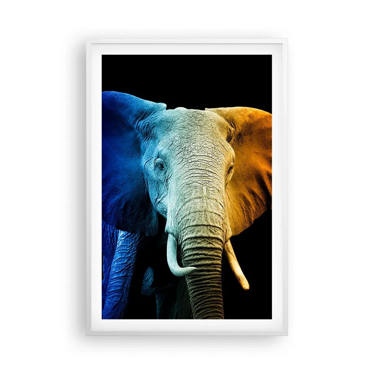 Plakat w białej ramie - Ekscentryk, nie dziwak - 61x91 cm