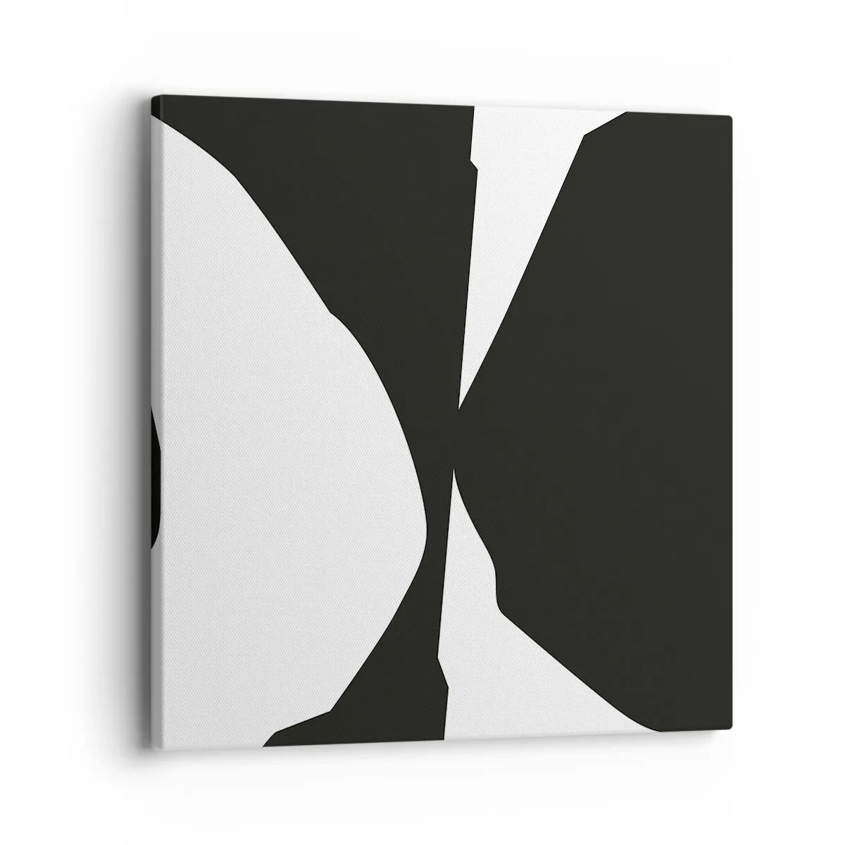 Obraz na płótnie - Pozytyw -negatyw - 40x40 cm