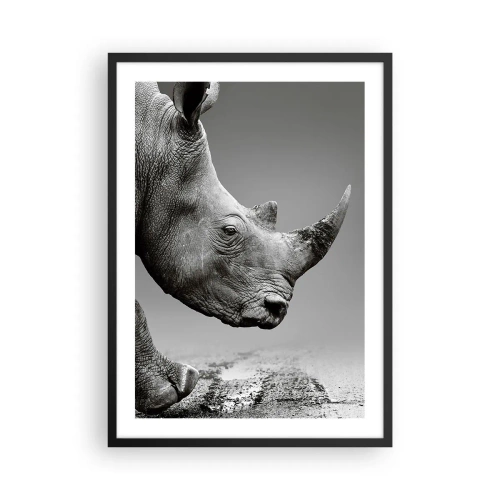 Plakat w czarnej ramie - Czarno-białe zbliżenie głowy nosorożca - 50x70cm - Niepowstrzymana siła - Nowoczesna dekoracja ścienna do salonu i sypialni ARTTOR