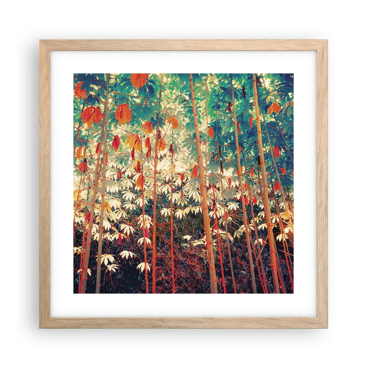 Plakat w ramie jasny dąb - Tajemne życie liści - 40x40 cm