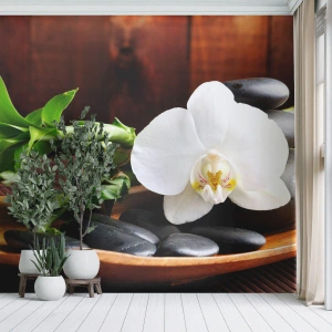 Fototapeta Premium Sand - Poddaj się dotykowi natury - Kwiaty, Orchidea, Storczyk - 150x105 cm