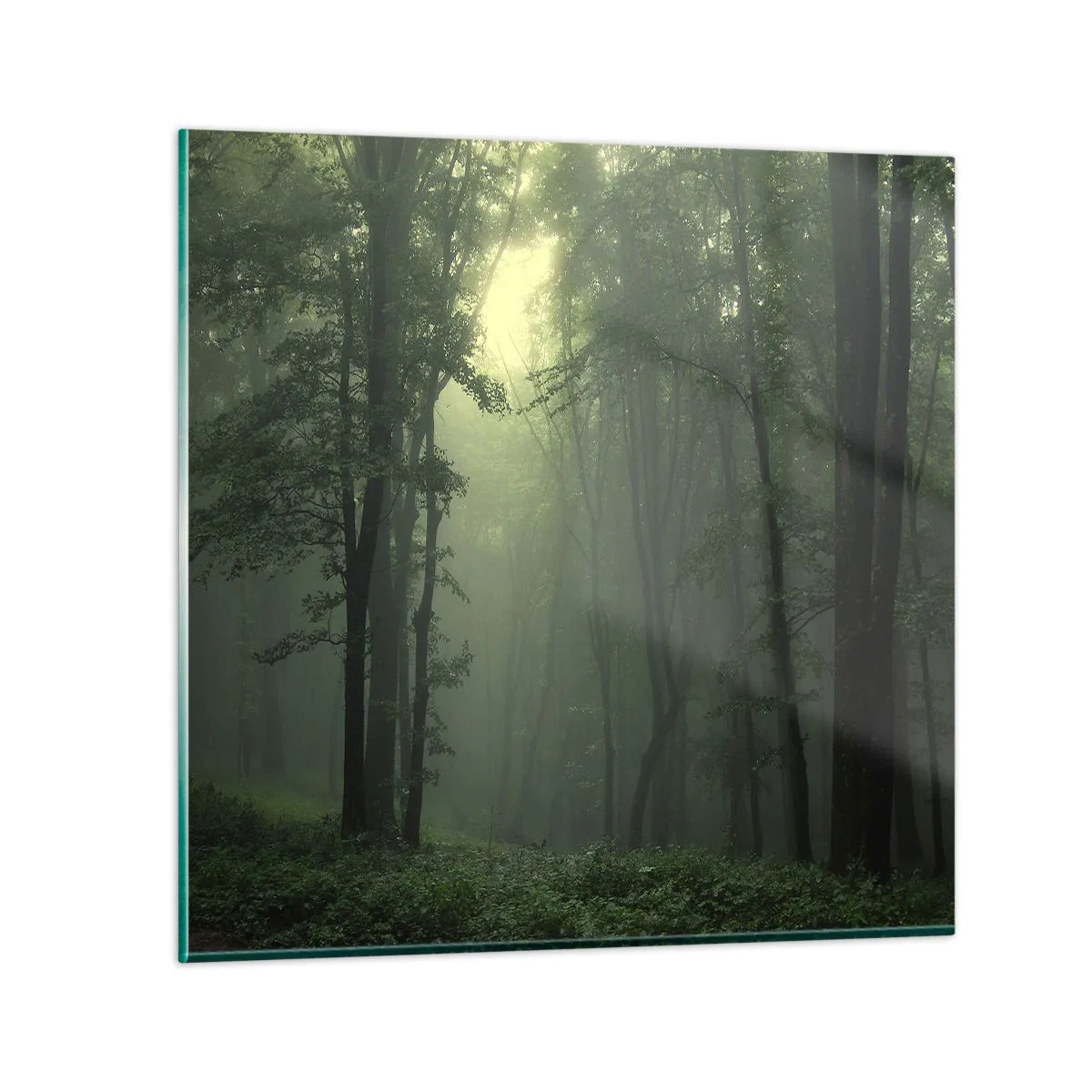 Obraz na szkle - Zanim się obudzi - 50x50 cm