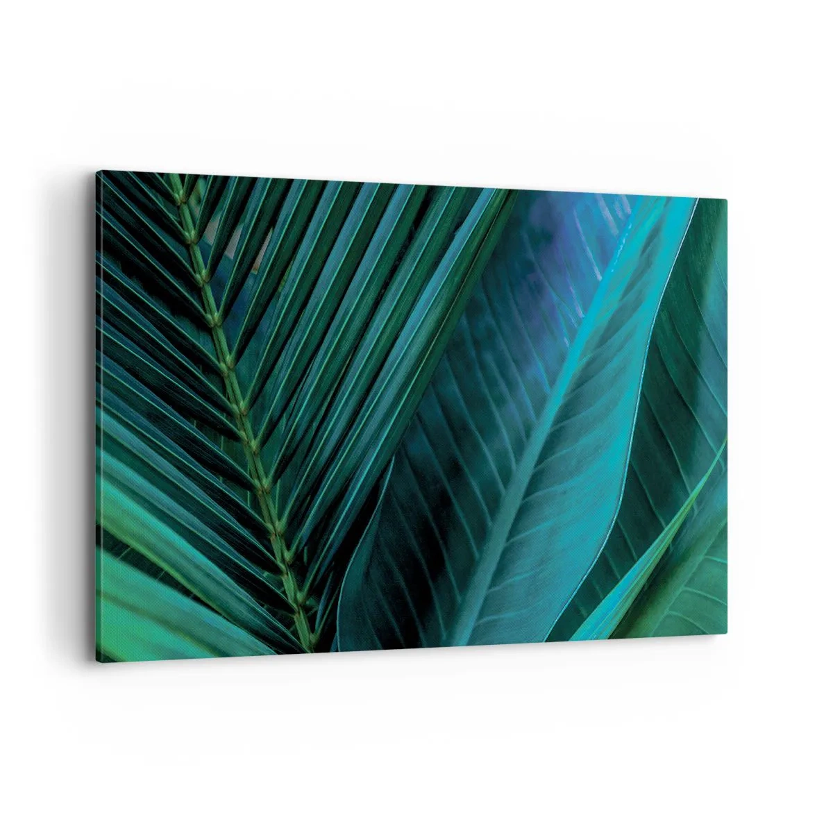 Obraz na płótnie - Zbliżenie na tropikalne zielone liście - 120x80cm - Anatomia zieleni - Nowoczesna dekoracja ścienna do salonu, kuchni i sypialni ARTTOR