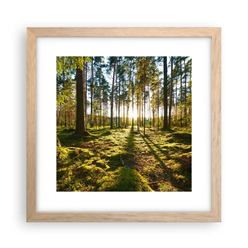 Plakat w ramie jasny dąb - …Za siedmioma lasami - 30x30 cm