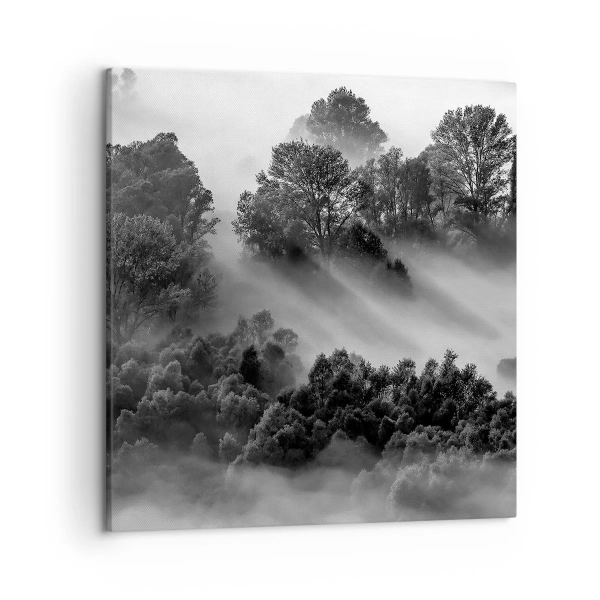 Obraz na płótnie - Wstający ze snu - 50x50 cm