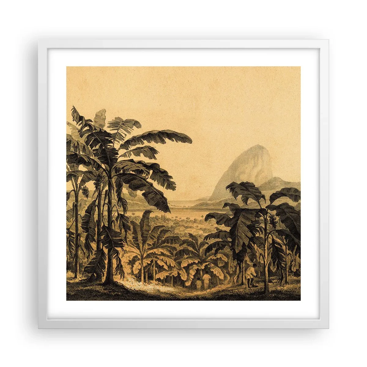 Plakat w białej ramie - w kolonialnym klimacie - 50x50 cm